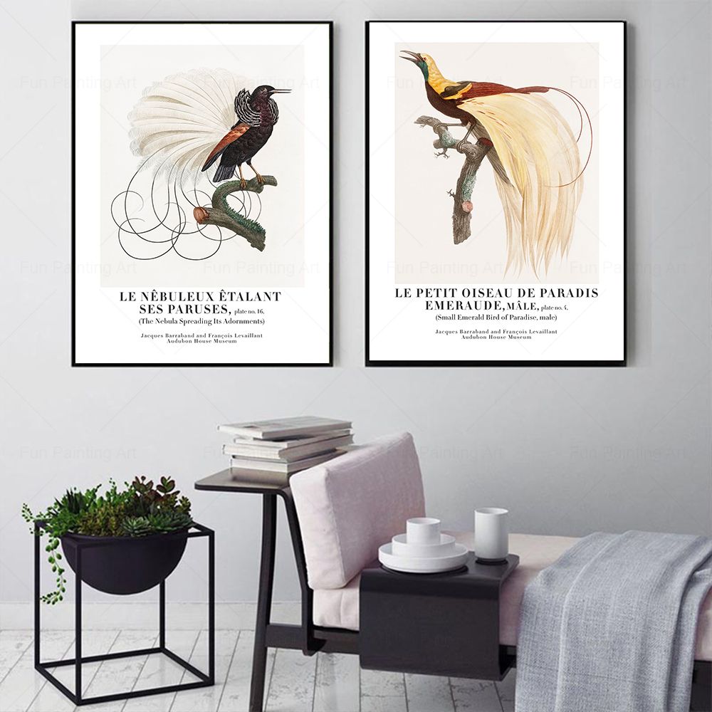 Vintage Paradise Bird Wall Art - Furniture Paradise & Hardware Ghaziabad Photos บทวิจารณ์และราคา